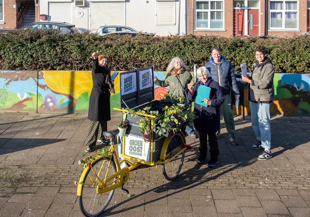 Onderzoek: vergroening pleinen